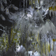 Illustration for article titled This Bizarre Installation Mimics a Real Biological Ecosystem